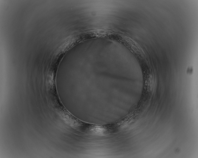 X0000091060610200708201347