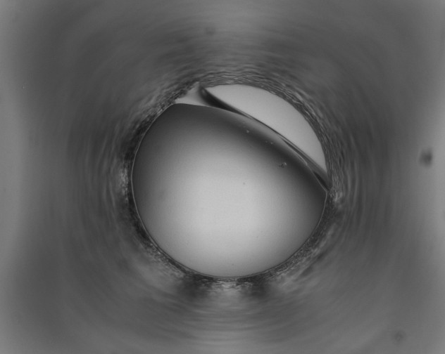 X0000091060613200708201347