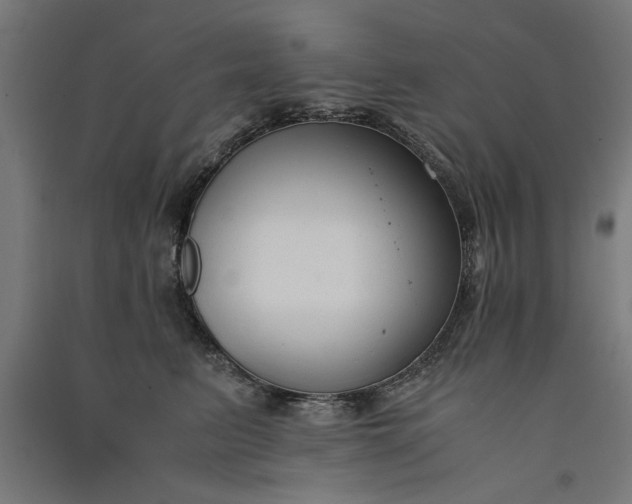 X0000091060615200708201347