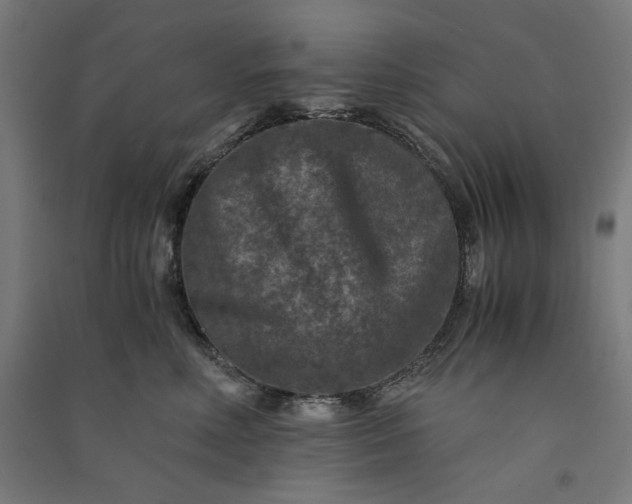 X0000091060618200708201346
