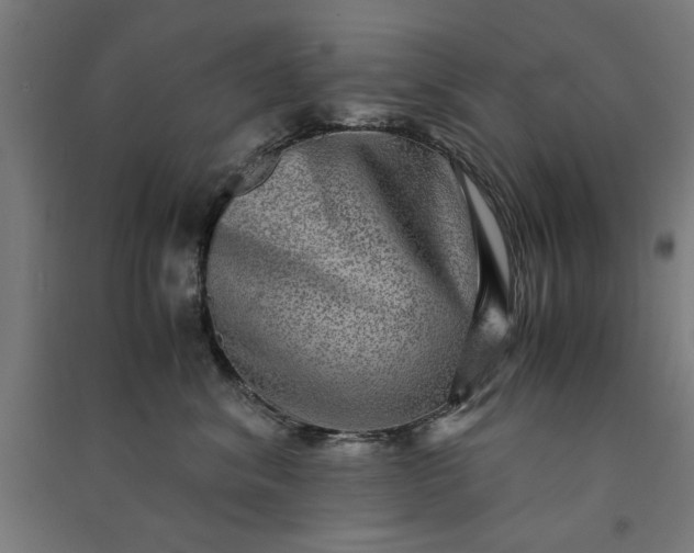 X0000091060620200708201346