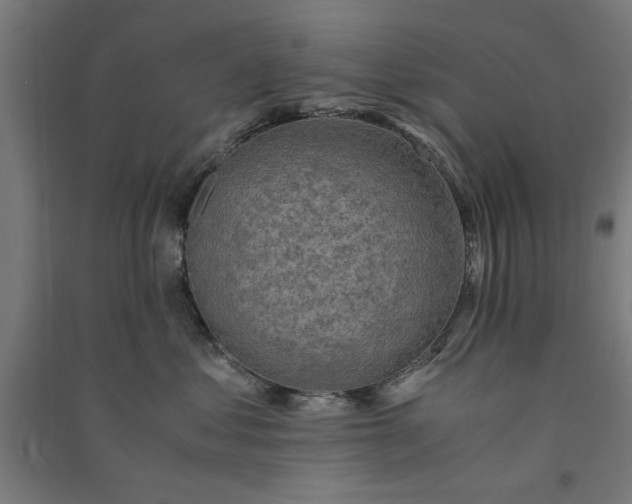 X0000091060621200708201346