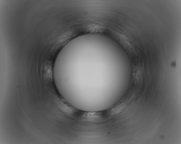 X0000091060622200708201346