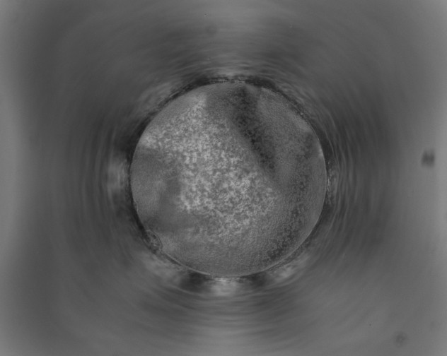 X0000091060623200708201346