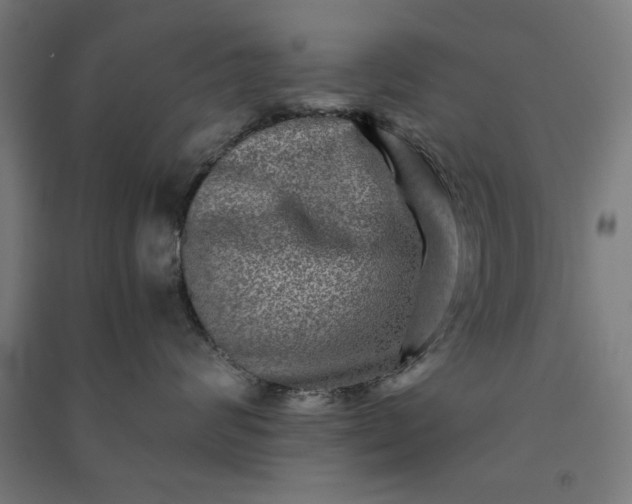X0000091060624200708201346