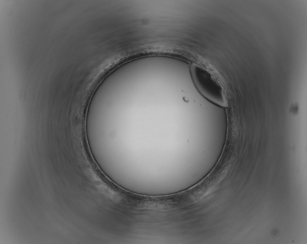 X0000091060625200708201346