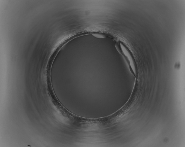 X0000091060626200708201346