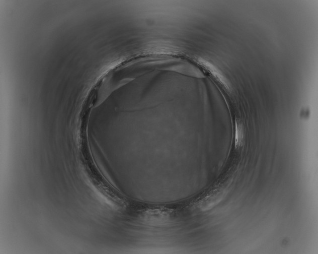 X0000091060627200708201346