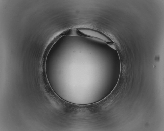 X0000091060628200708201346