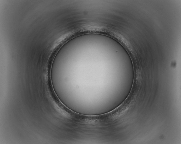 X0000091060629200708201346