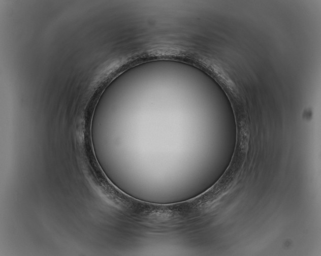 X0000091060631200708201346