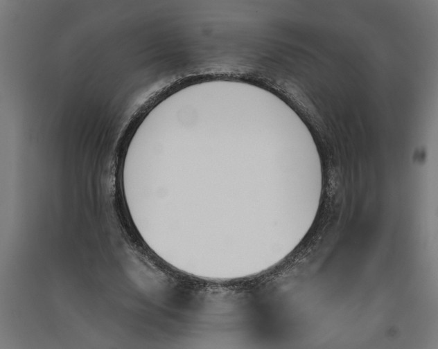 X0000091060632200708201346