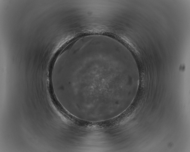 X0000091060634200708201346