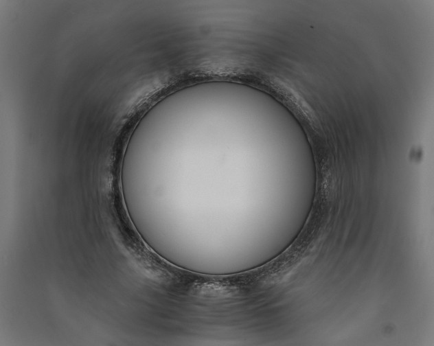 X0000091060635200708201346