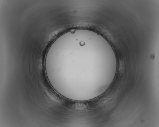 X0000091060636200708201346