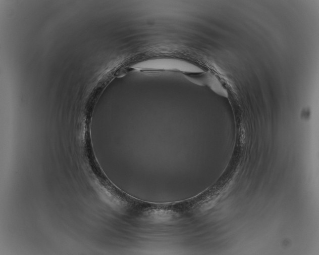 X0000091060637200708201346