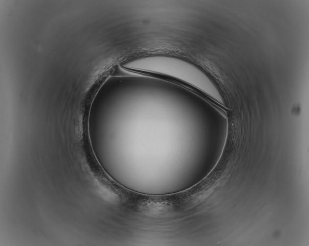 X0000091060638200708201346
