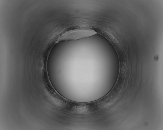 X0000091060639200708201346