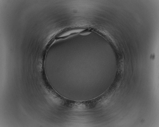X0000091060640200708201346