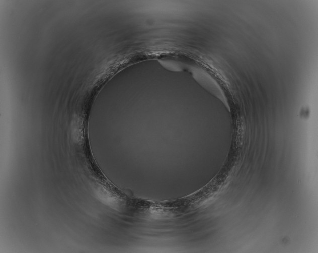 X0000091060641200708201346