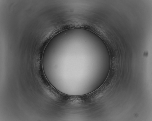 X0000091060642200708201346