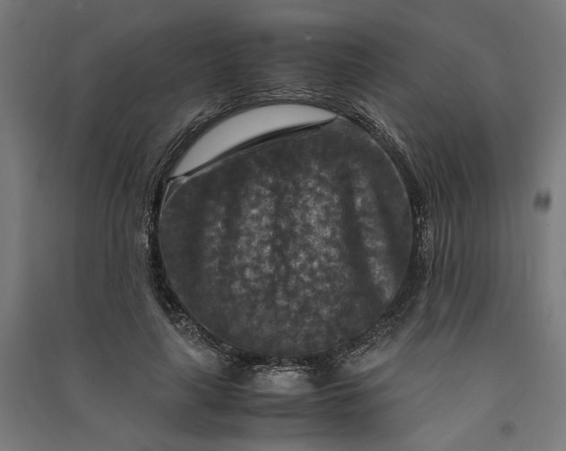 X0000091060643200708201346