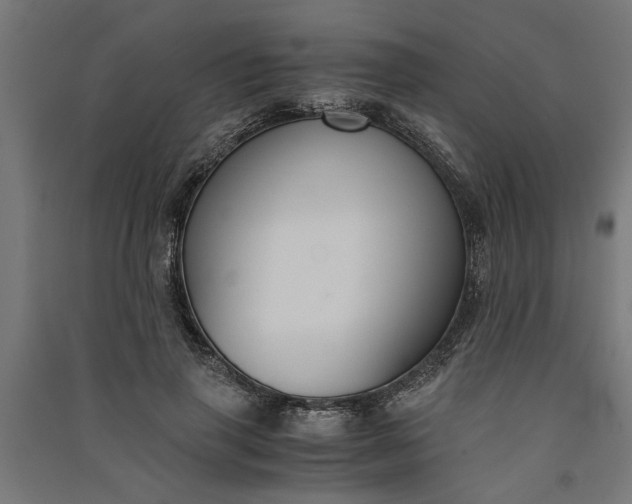 X0000091060645200708201346
