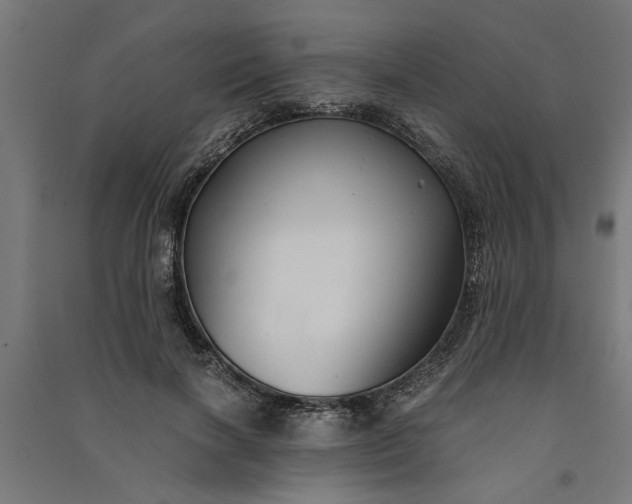 X0000091060646200708201346