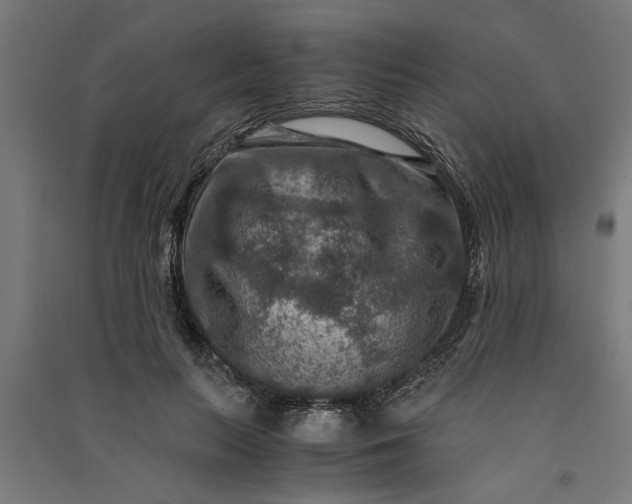 X0000091060647200708201346