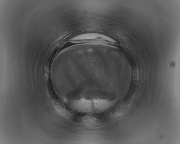 X0000091060648200708201346