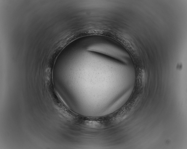 X0000091060649200708201346