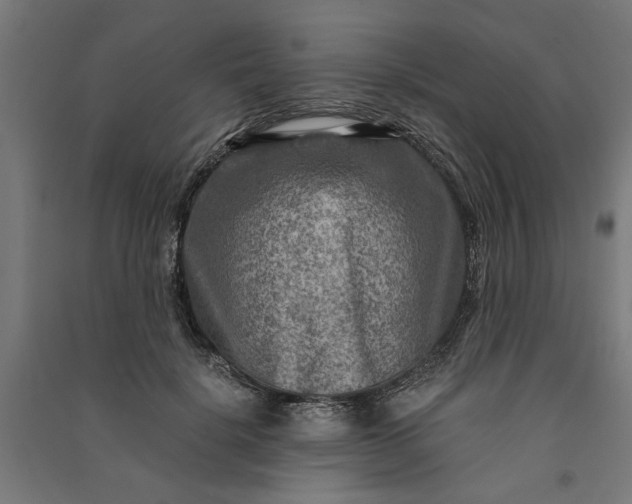 X0000091060652200708201346