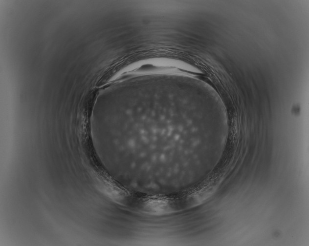 X0000091060653200708201346