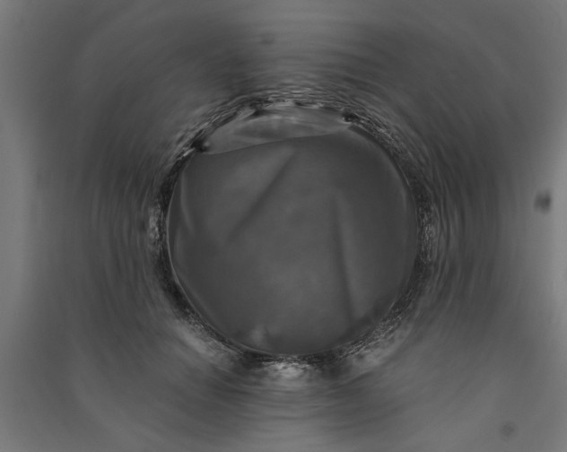 X0000091060654200708201346