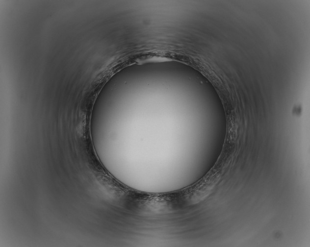 X0000091060656200708201346