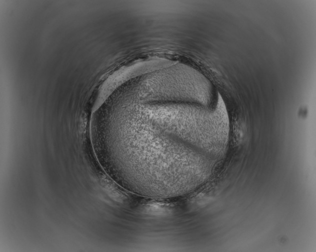 X0000091060657200708201346