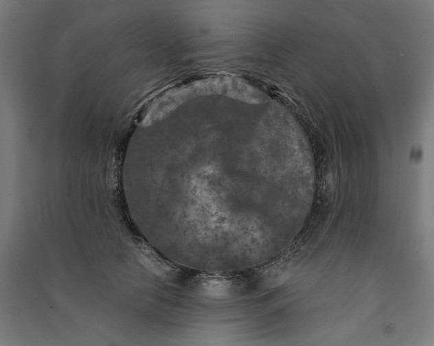 X0000091060658200708201346