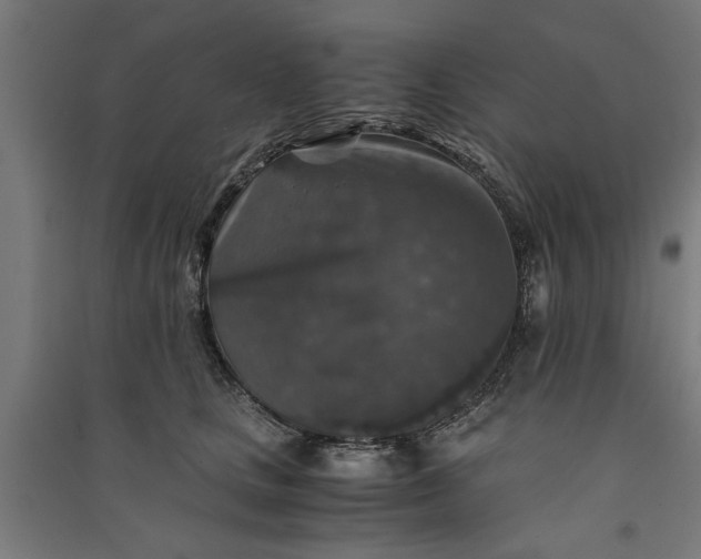 X0000091060661200708201346