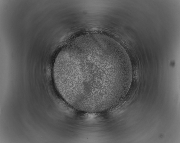 X0000091060662200708201346