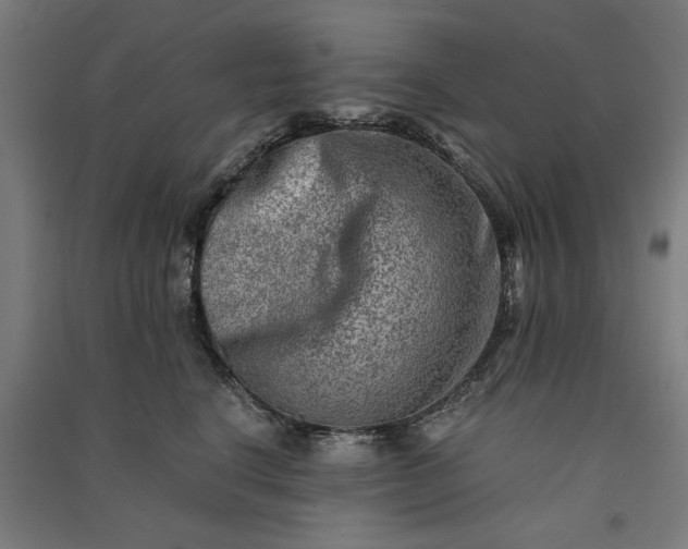 X0000091060664200708201346