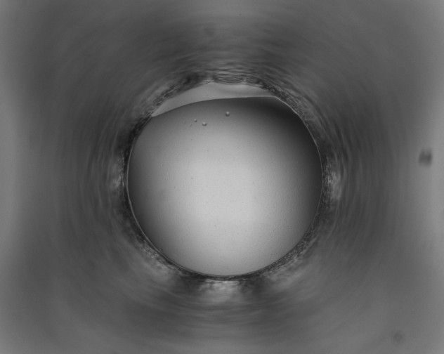 X0000091060665200708201346