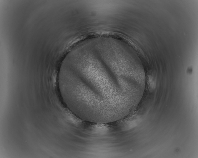 X0000091060668200708201346