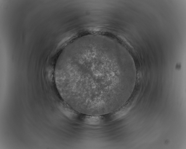 X0000091060671200708201346