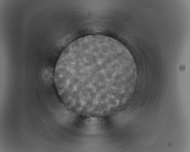 X0000091060672200708201346