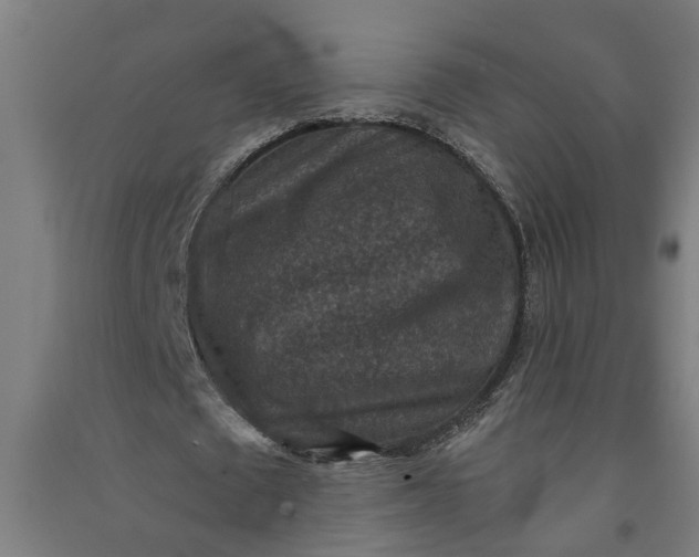 X0000091060673200708201346