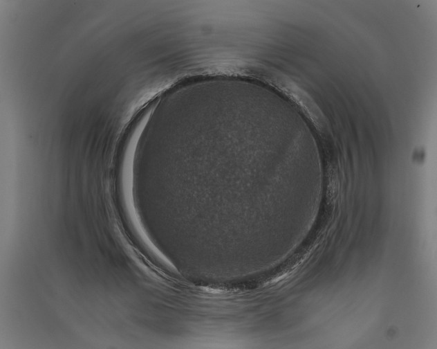 X0000091060677200708201346
