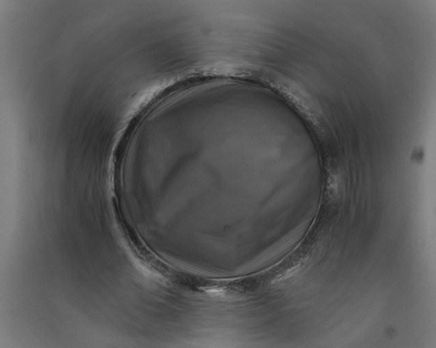 X0000091060678200708201346