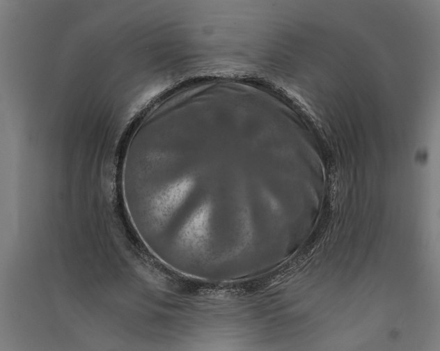 X0000091060679200708201346