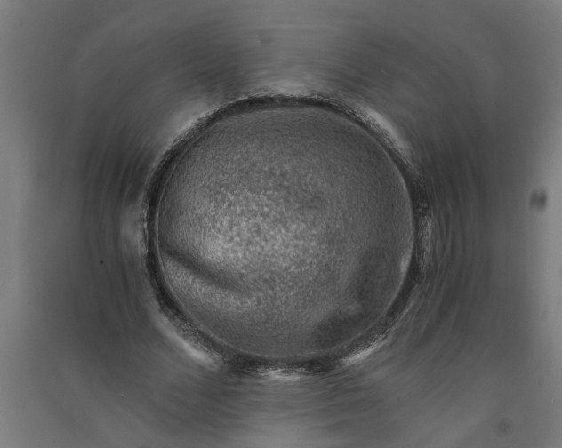 X0000091060680200708201346
