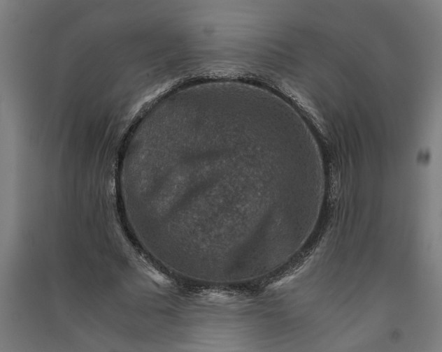 X0000091060681200708201346